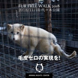 FUR FREE WALK